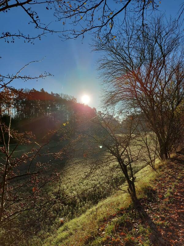 Wanderung Effeltrich2